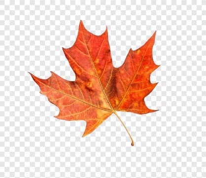 BENIN COMIC CON x OTAKUCTNDAY 5